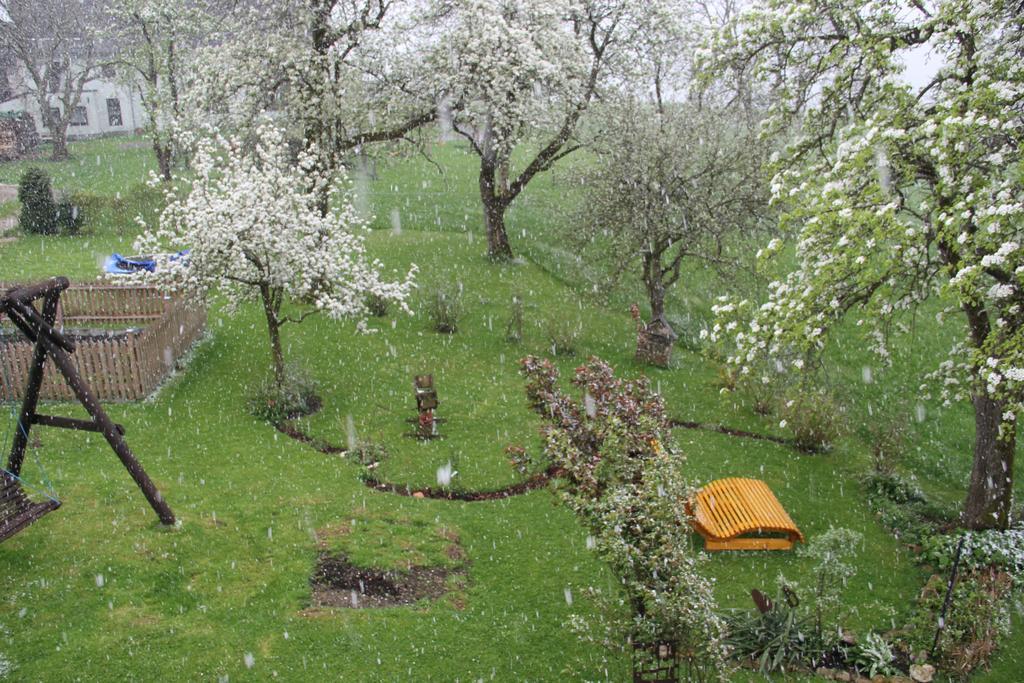 Ferienwohnungen Schoebringer Weyregg Bagian luar foto